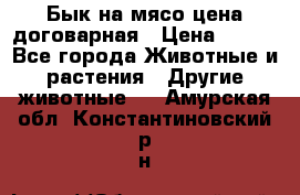 Бык на мясо цена договарная › Цена ­ 300 - Все города Животные и растения » Другие животные   . Амурская обл.,Константиновский р-н